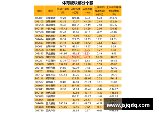 芒果体育深入了解NBA：球队简介、赛制及分布图